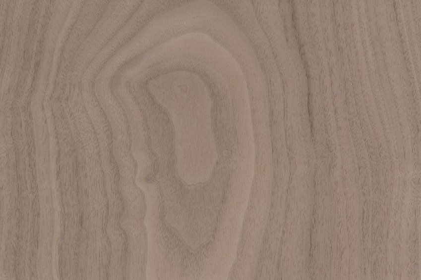 nogal americano natural