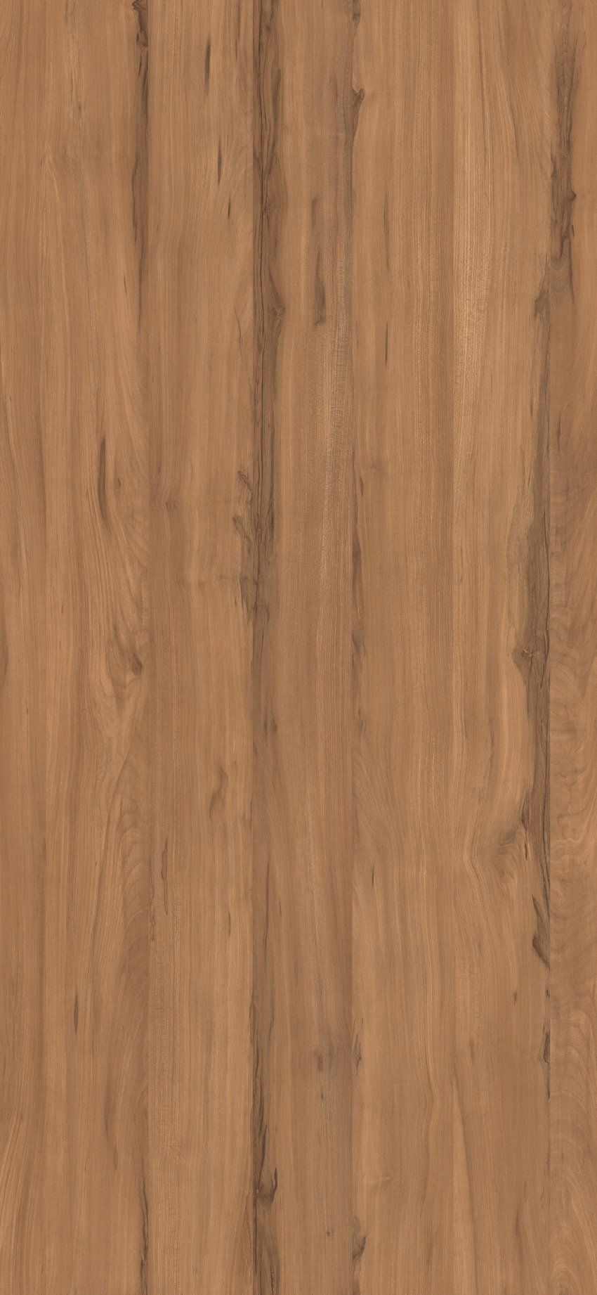 4ar olmo sabi boreal 1300x600 zoom