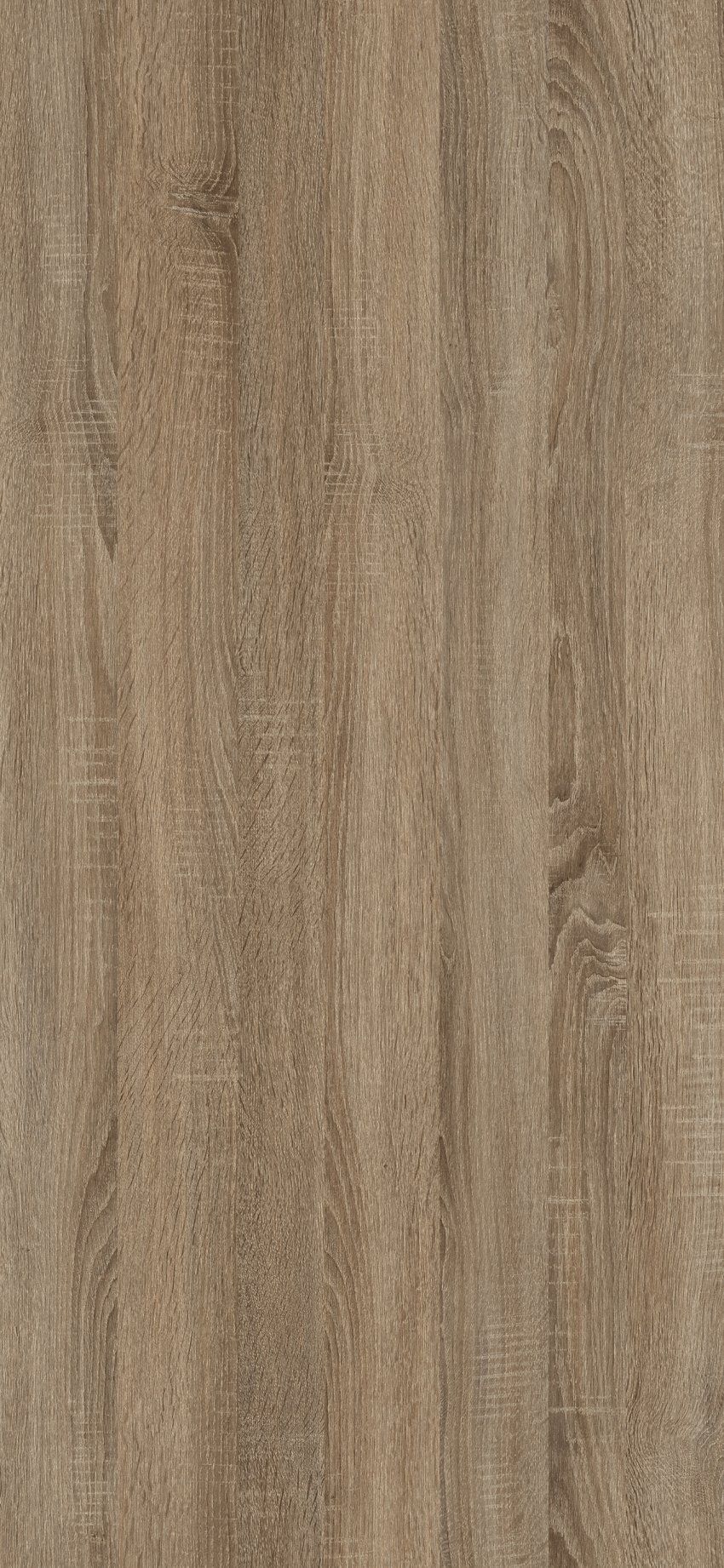 03r cambrian oak atlas 1300x600