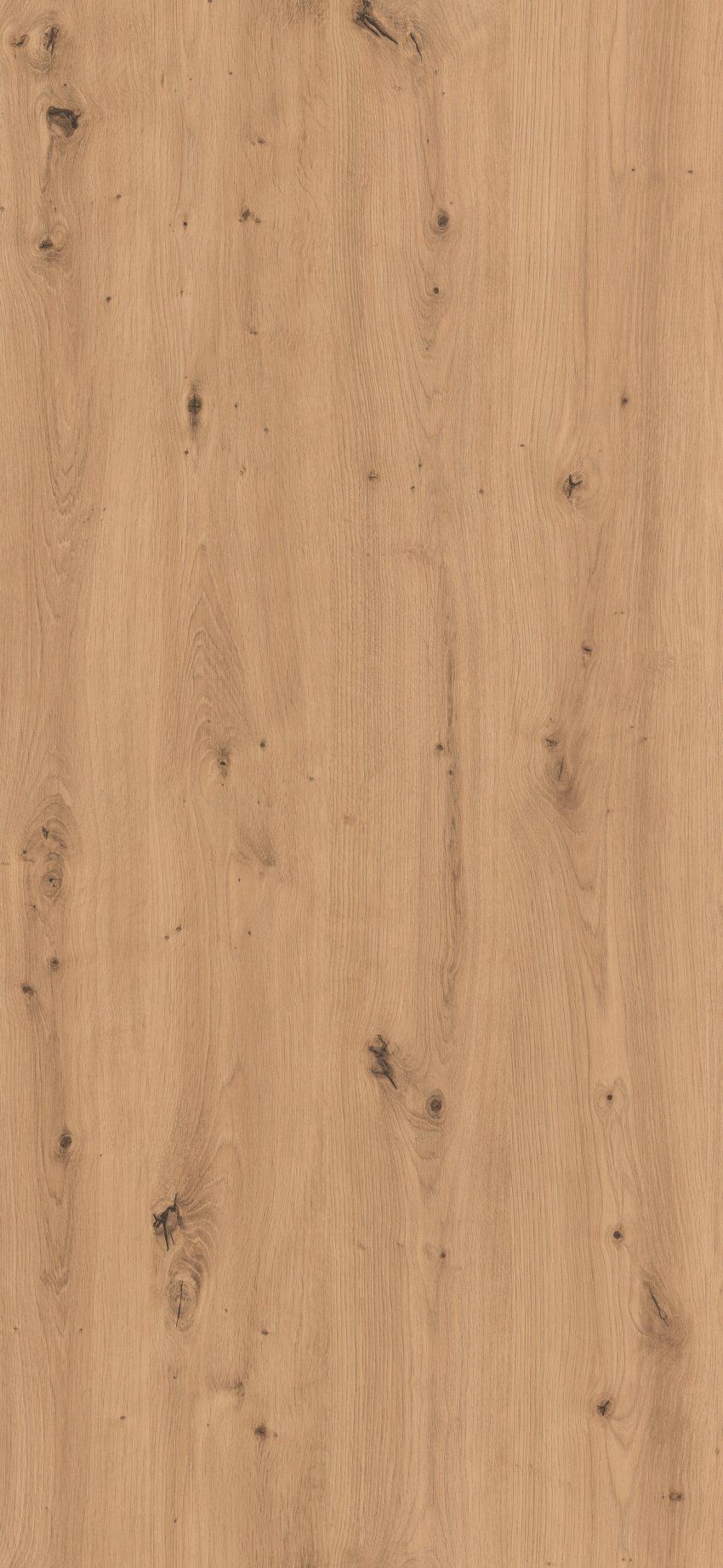 6as roble amazona atlas 1300x600 zoom