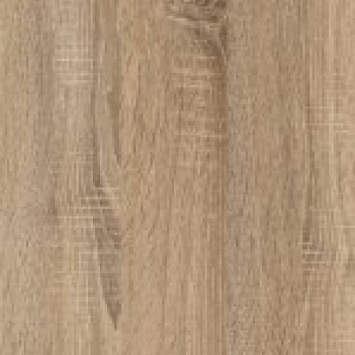 CAMBRIAN OAK SEGA