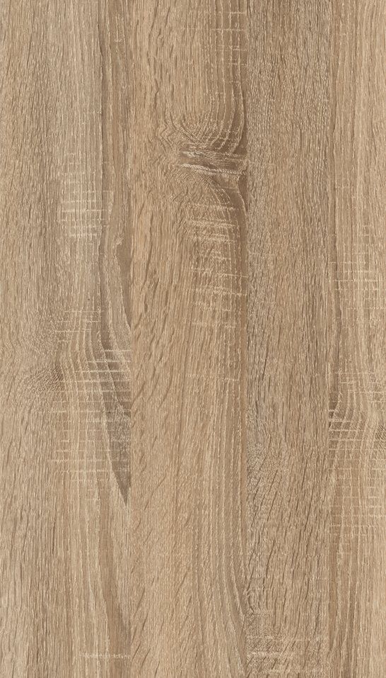 CAMBRIAN OAK SEGA