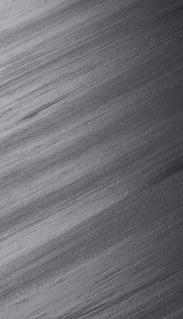boreal detail crop 02