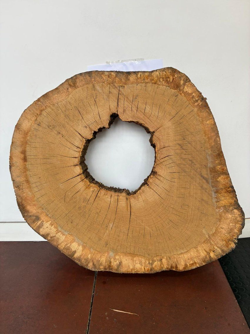 whatsapp image 2026 01 29 at 17 42 44