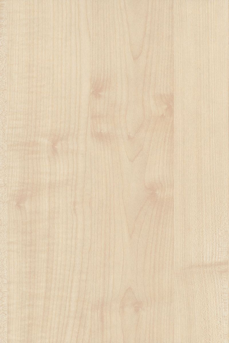 Maple colonia