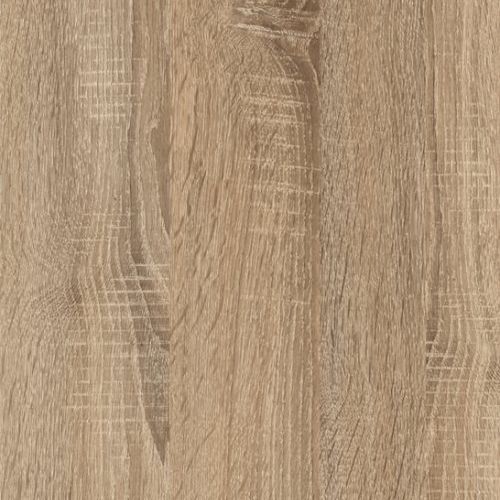 CAMBRIAN OAK SEGA