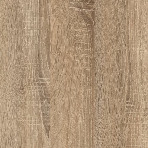 CAMBRIAN OAK SEGA