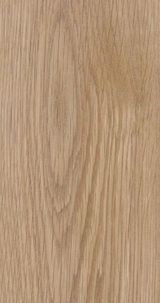Roble americano