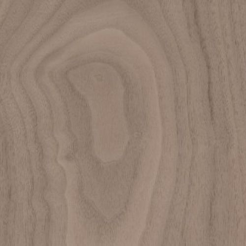 nogal americano natural